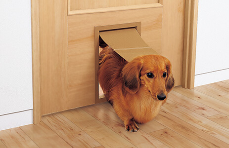 パナソニックのペットドア