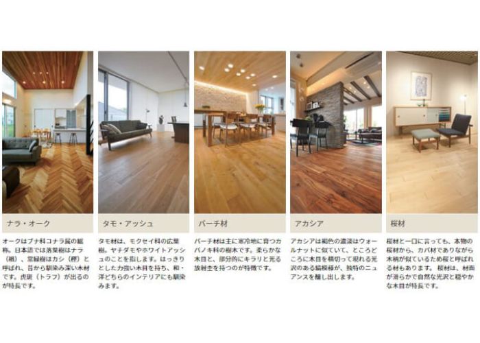 無垢材の種類