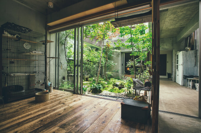 家の中から眺める中庭