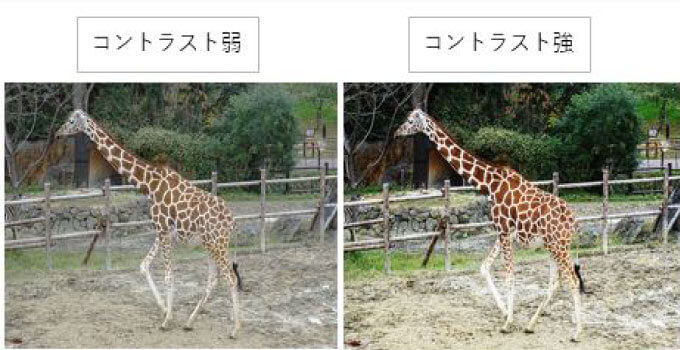 コントラスト