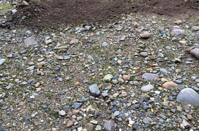石だらけの庭