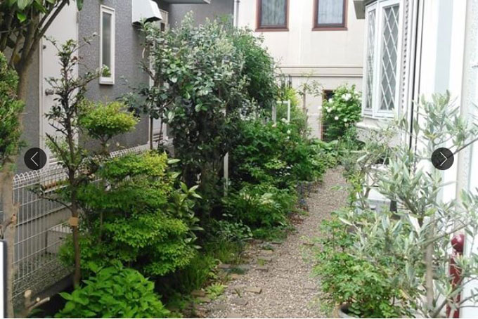 生垣 隣家施工例