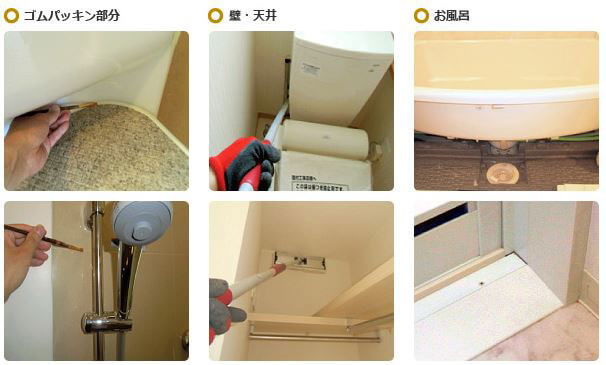 カビが繁殖しやすいところ